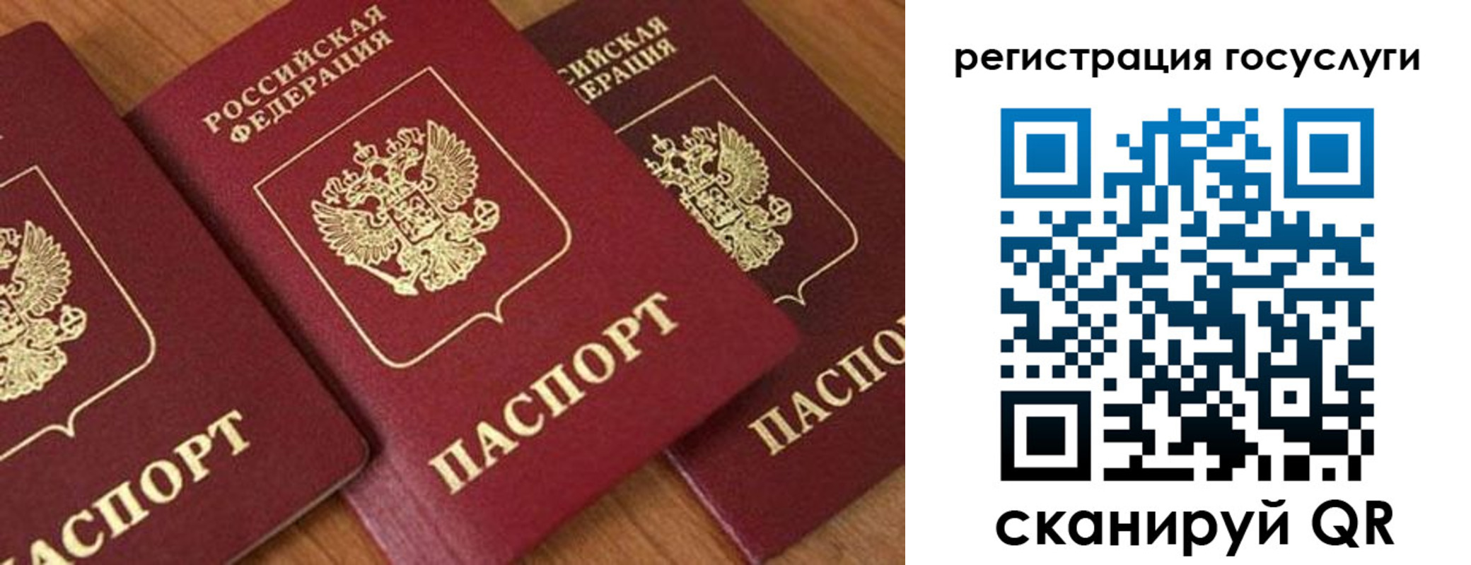 временная регистрация гарантия в Ржеве